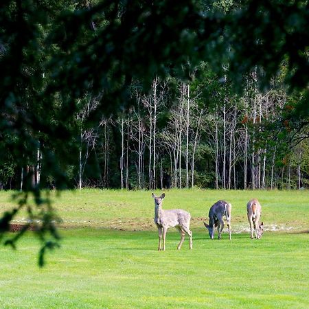 مبيت وإفطار Bragg Creek Sleepy Creek Country Manor المظهر الخارجي الصورة